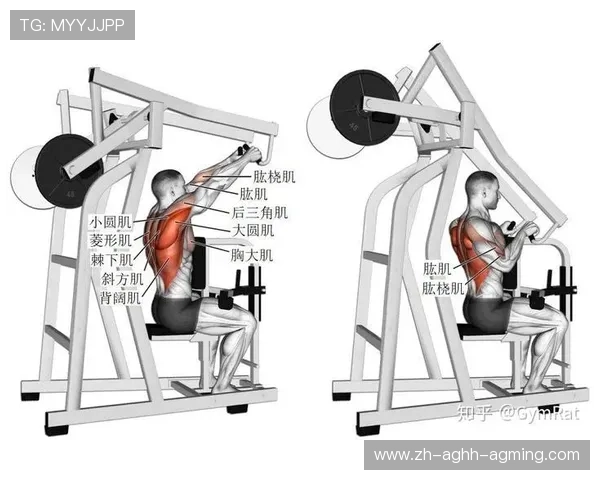 健身器材图文教程大全与标准操作流程