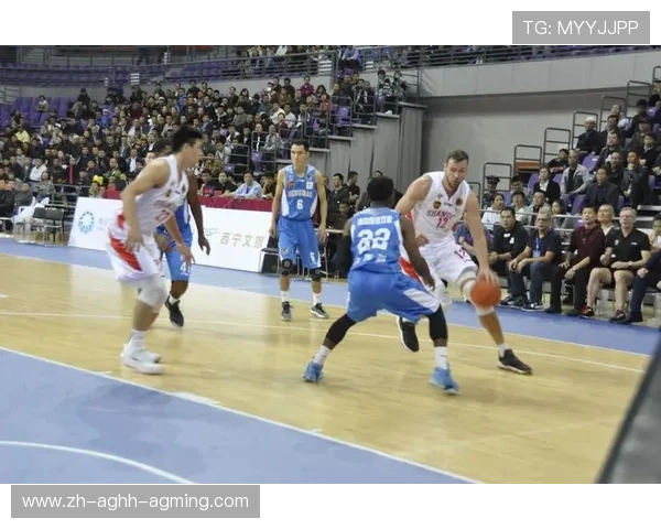 青海省是否拥有CBA篮球队伍的分析