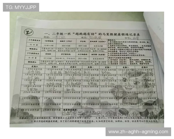 体育与保健兼顾的健身器材配置方案解析