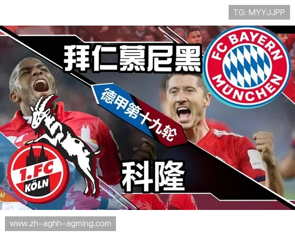 赵vv德甲球队:赵vv与德甲球队的关系与可能性分析