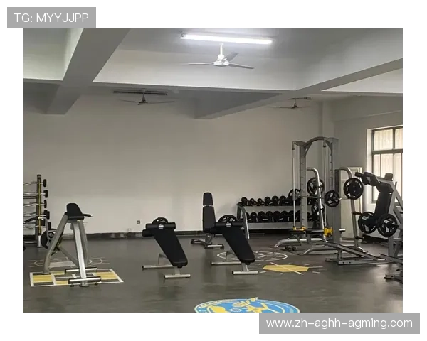 零基础家庭健身计划配套器材组合方案解析